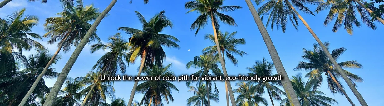 coconut-trees