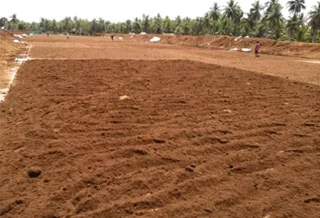 coconut coir drying