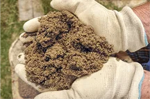 coconut coir testing