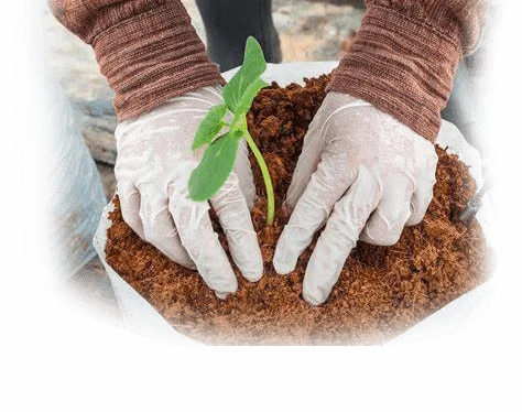 grow-with-coconut-coir