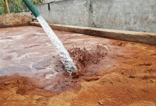 coconut coir washing